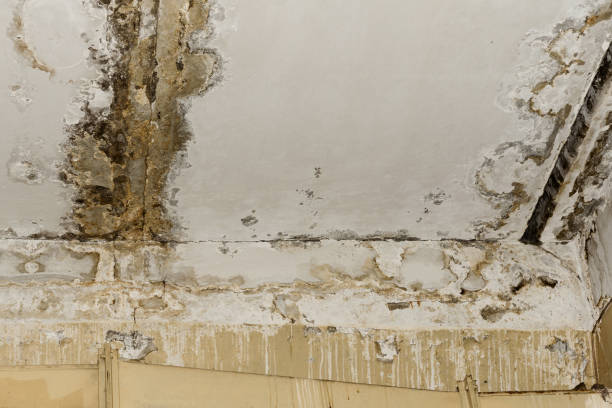 Professional Water damage restoration in Patchogue, NY